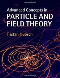 ADVANCED CONCEPTS IN PARTICLE AND FIELD THEORY